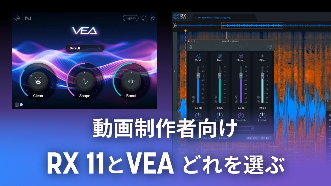 動画制作者向け RX 11とVEA どれを選ぶ