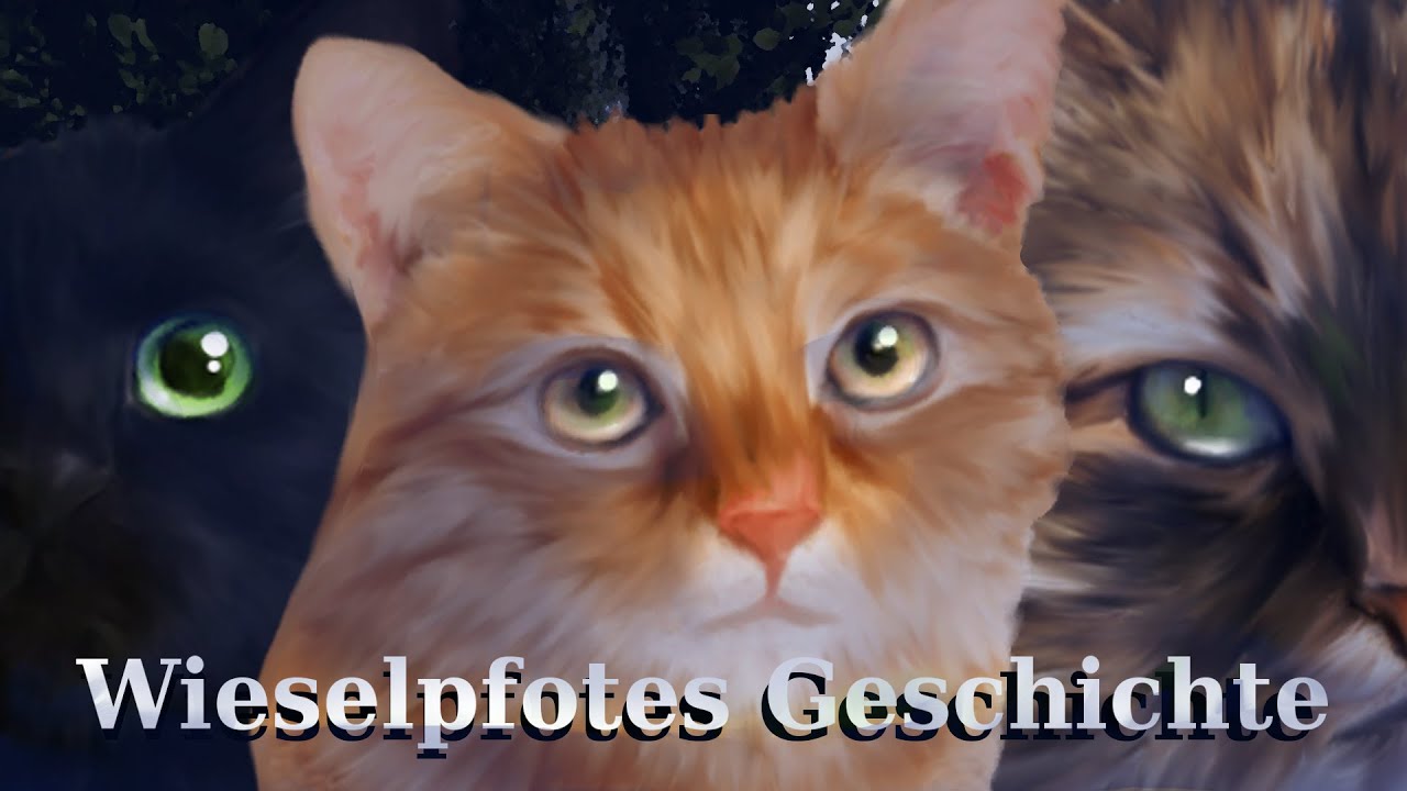 Warrior  Cats Wieselpfotes Geschichte (Erfunden)