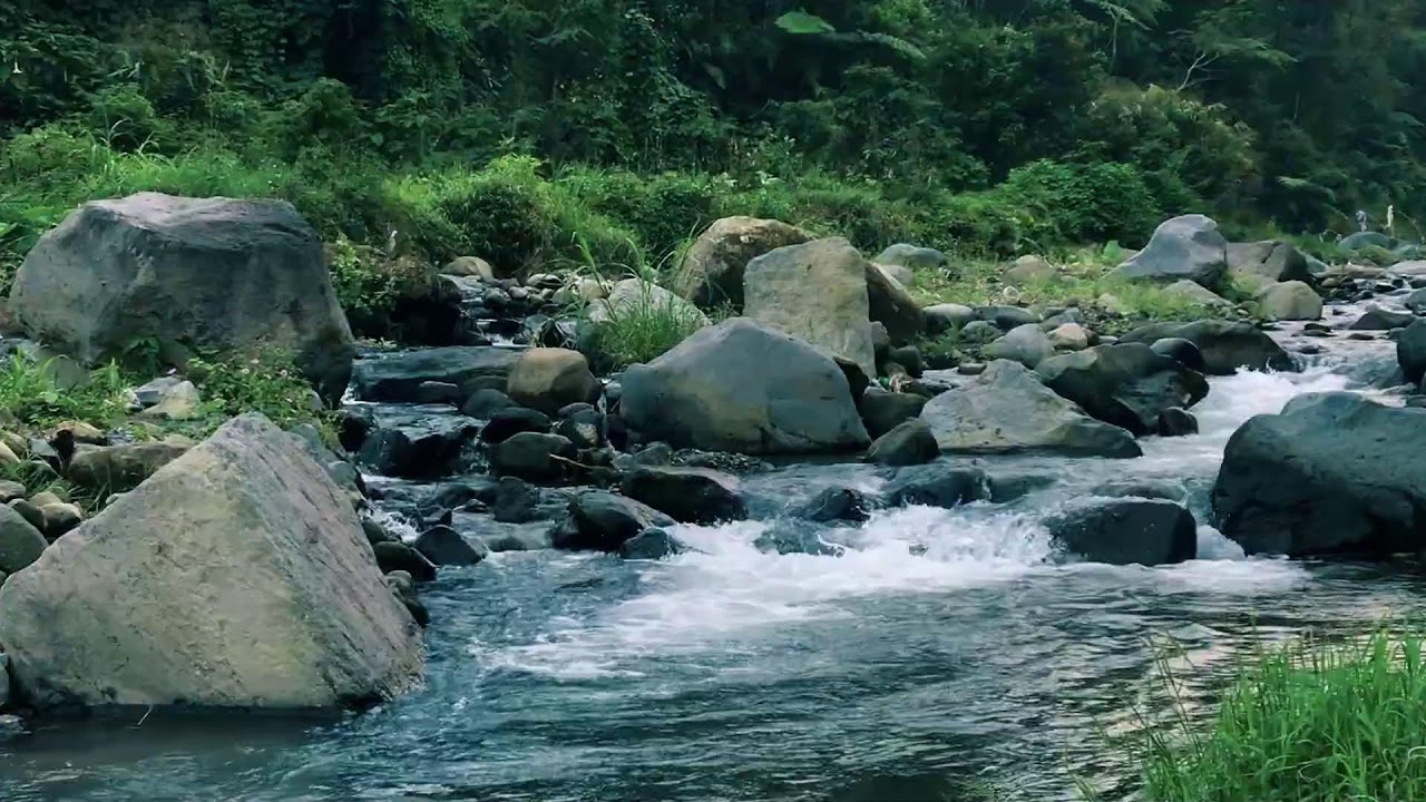Riverbank for Mood Boost, Restful Sleep, Calm Mind