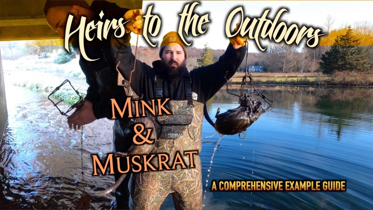 How to Trap Mink & Muskrat | A Comprehensive Example Guide | Sets that PRODUCE!