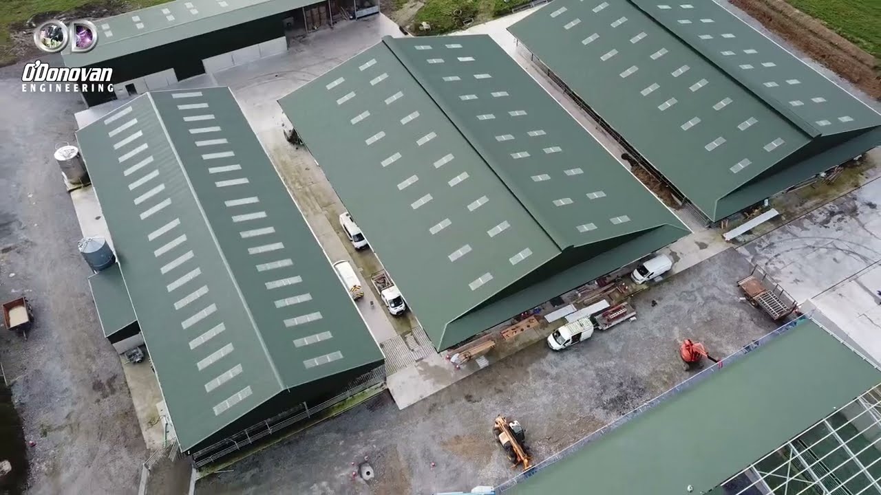350-Unit Dairy Cubicle System - Twin Shed Layout with Calving Facilities