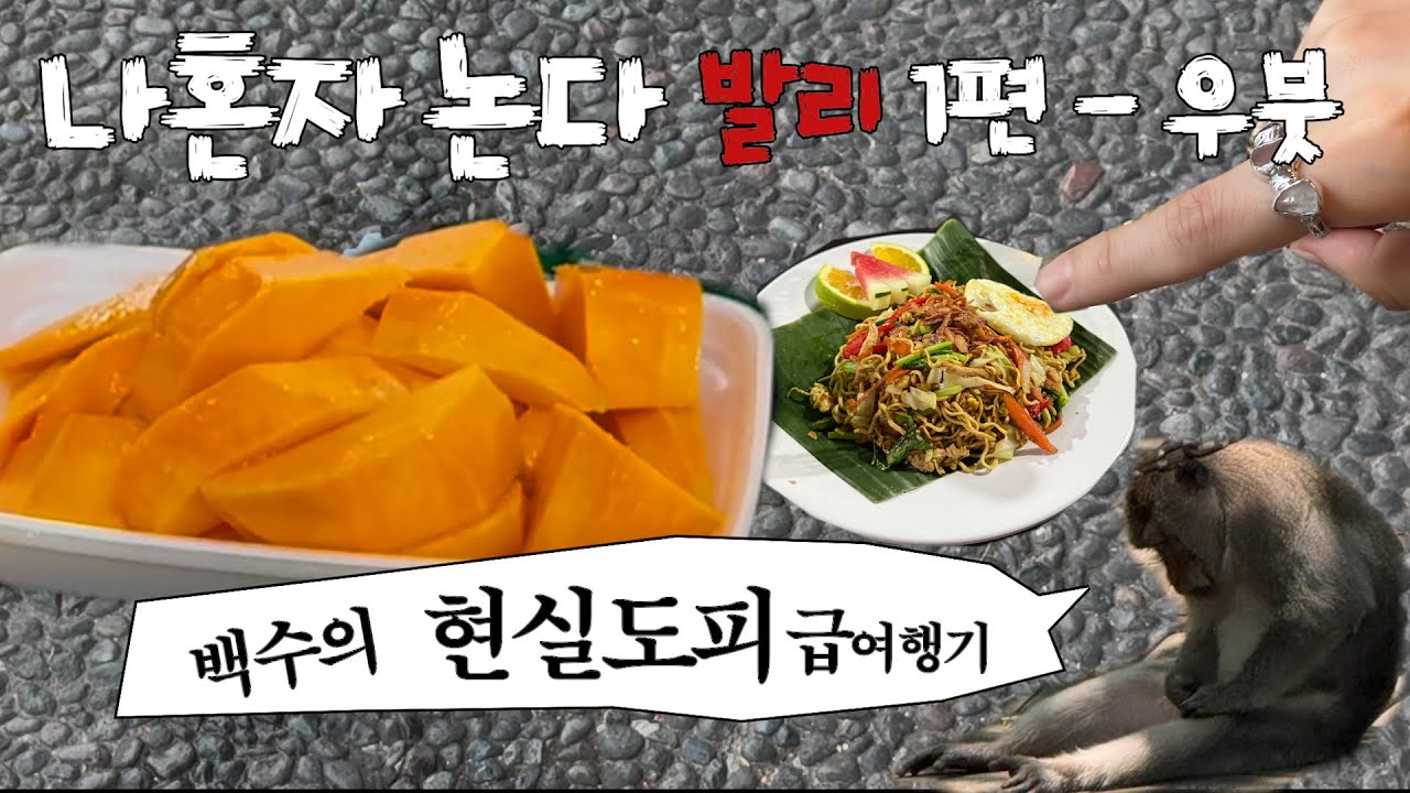 나혼자 논다 | 🍃 발리 1편 우붓🌺| 혼자오면 이렇게 보내세요 | 추천 숙소, 식당 등등