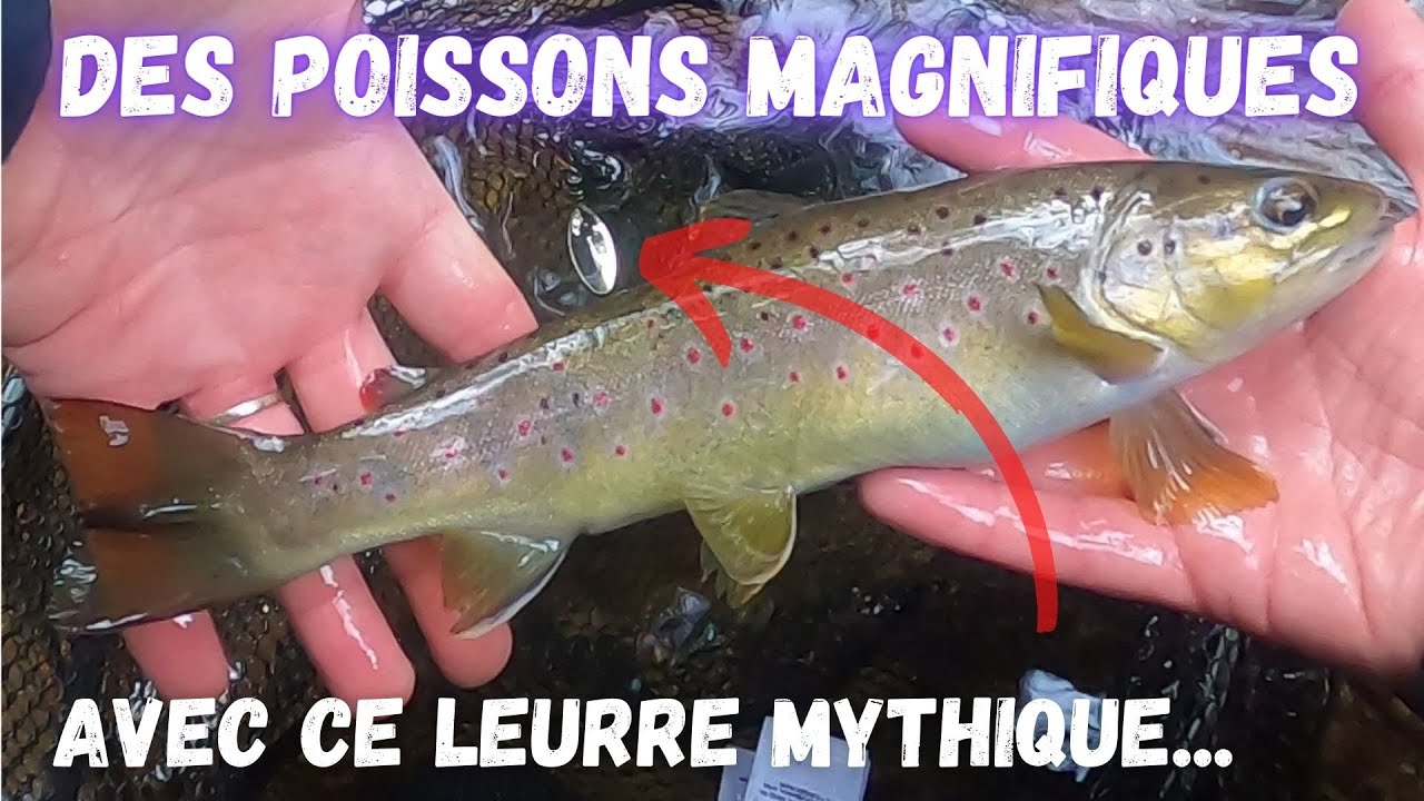 Je pars pêcher la truite sauvage en Corrèze