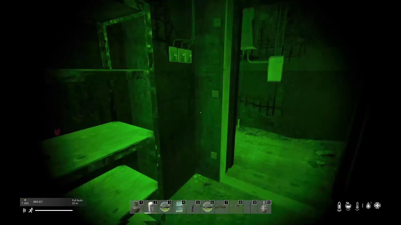 Dayz