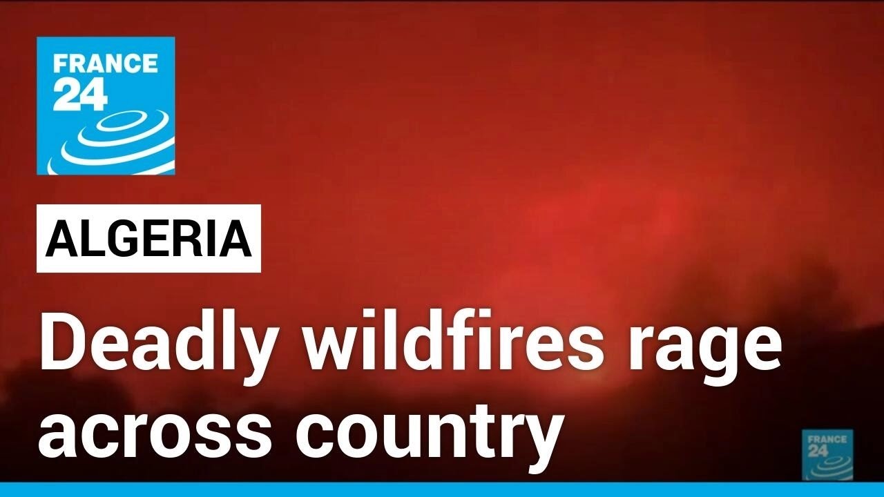 Deadly wildfires rage across Algeria as temperatures soar &bull; FRANCE 24 English