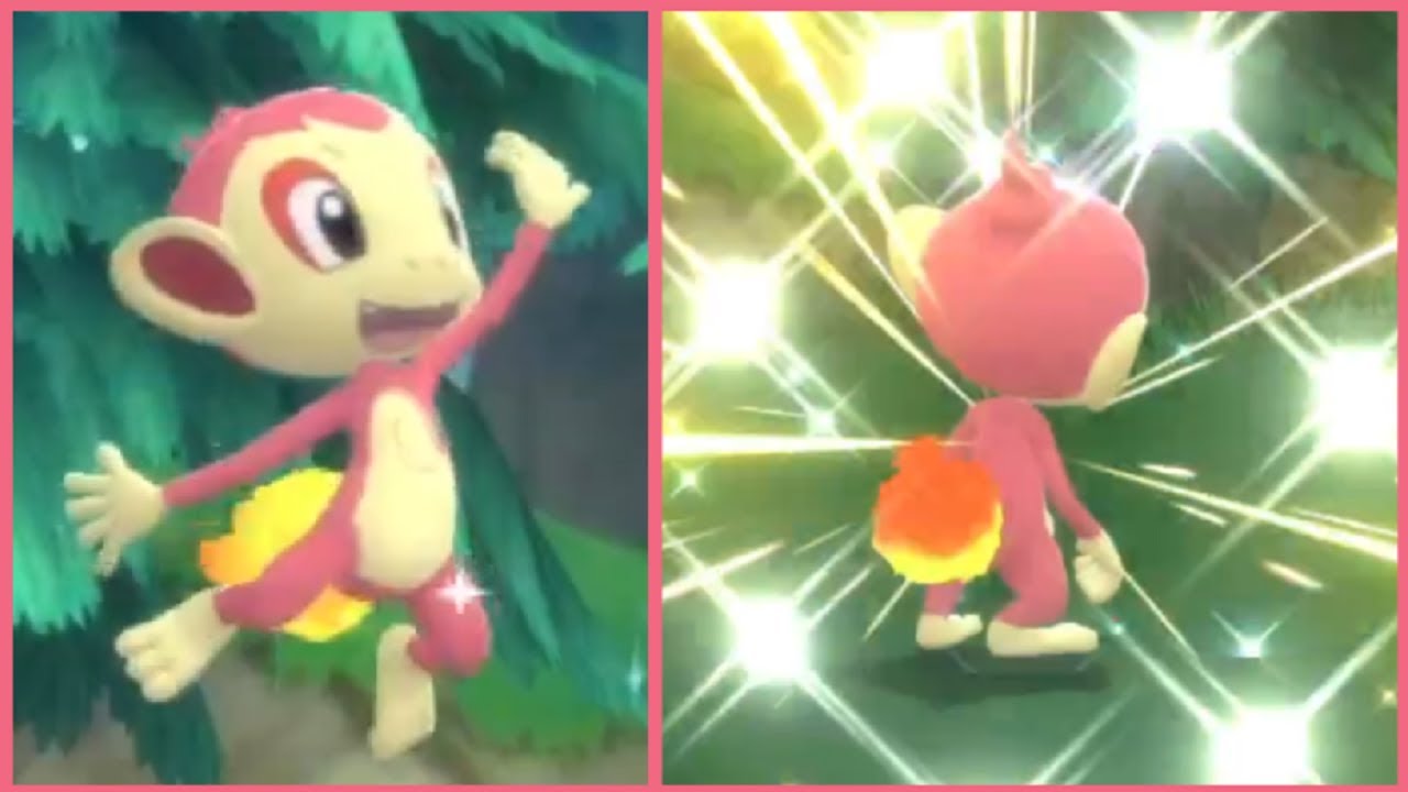 [LIVE] Shiny Chimchar After 2148 SR's In Pokémon Brilliant Diamond!
