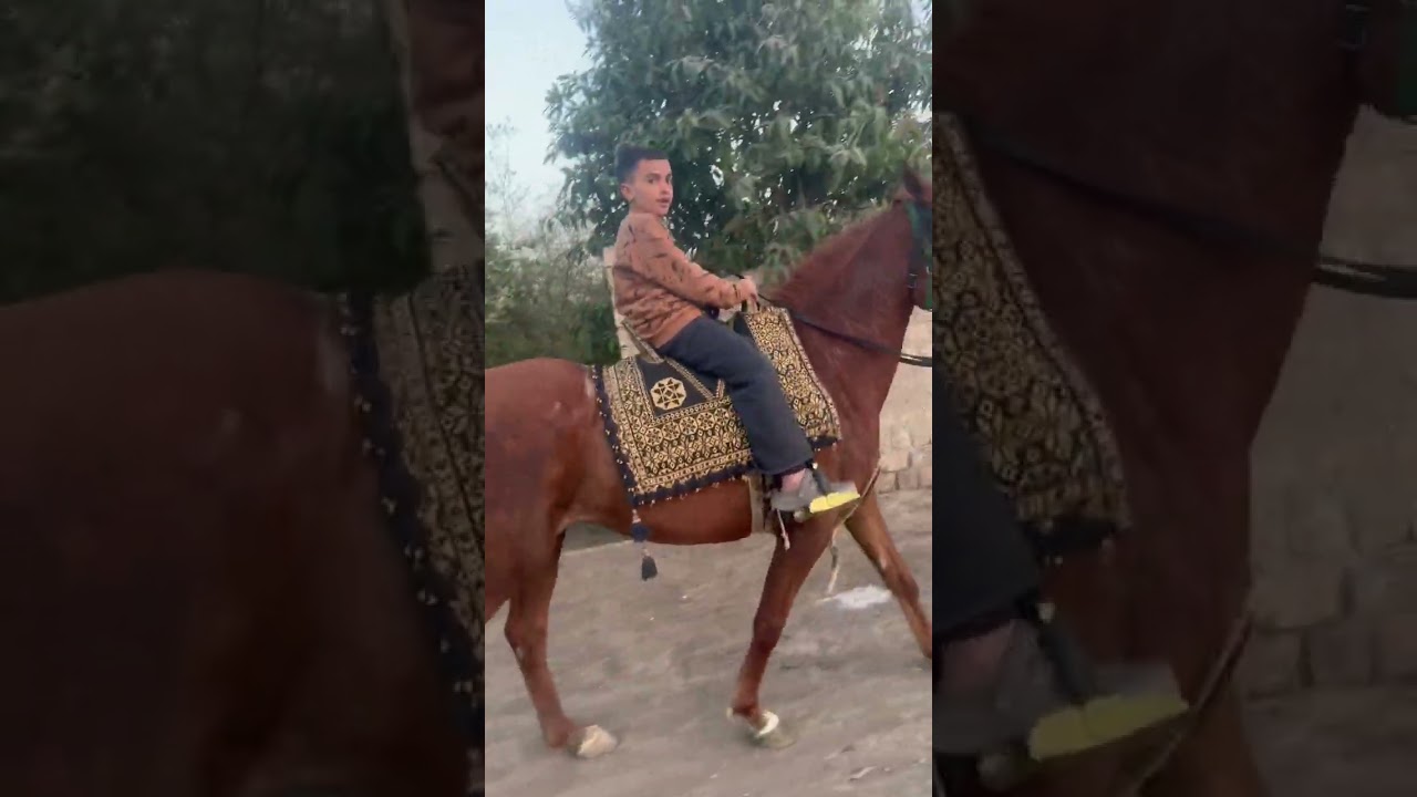 Me riding a horse in Upper Egypt 💪😎