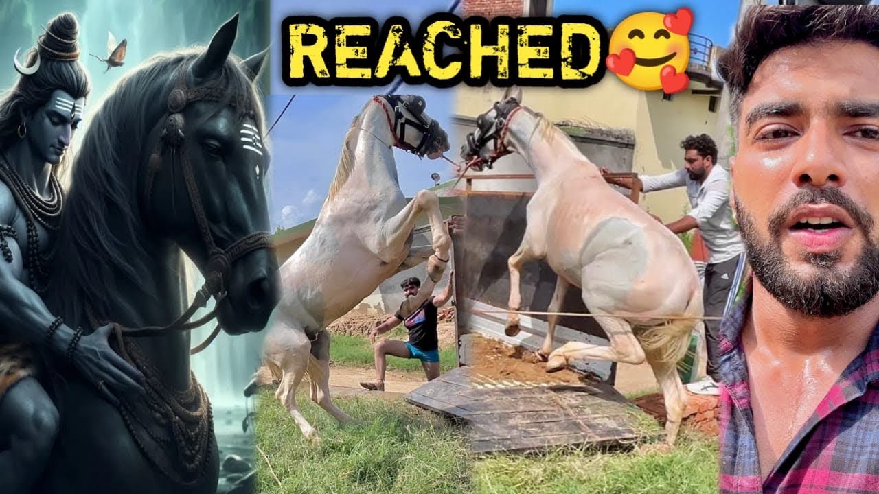🇮🇳🔥FINALLY ITIHAAS RACHNE KE LIYE LOCATION PR AAGYE 🙏🏻🤩READY FOR 150km😨 BHARAT MAI PEHLI BAAR