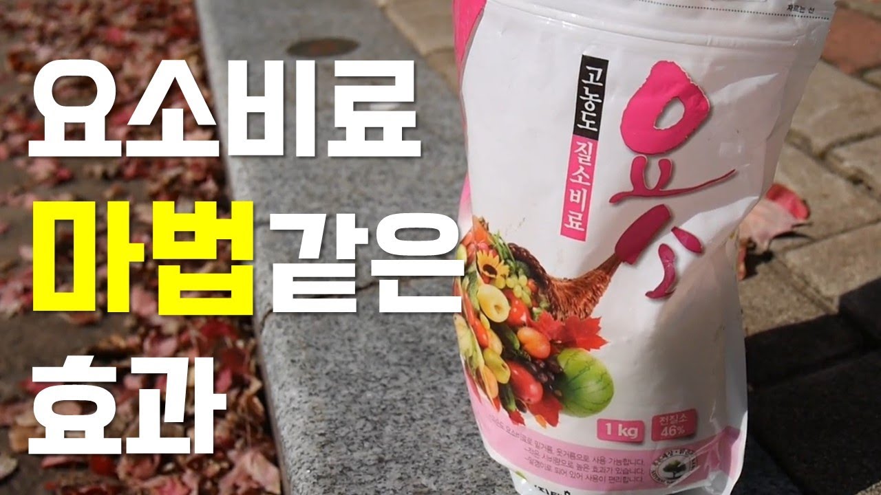 요소비료, 성장의 마법과 숨겨진 위험