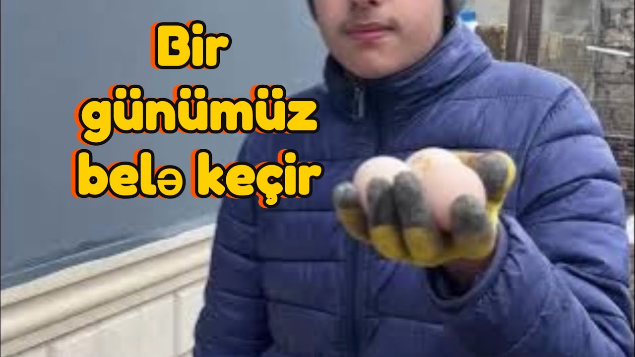 Məşğul və Maraqlı Gün