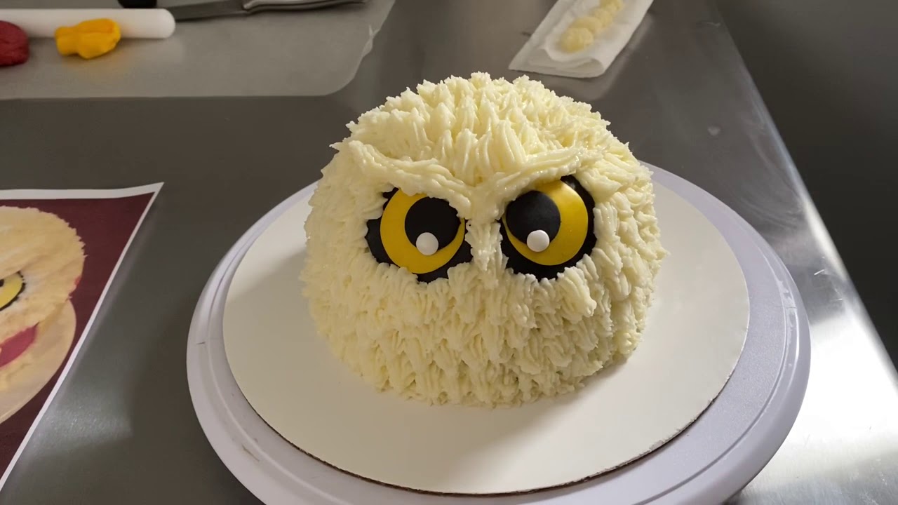 harry potter owl cake