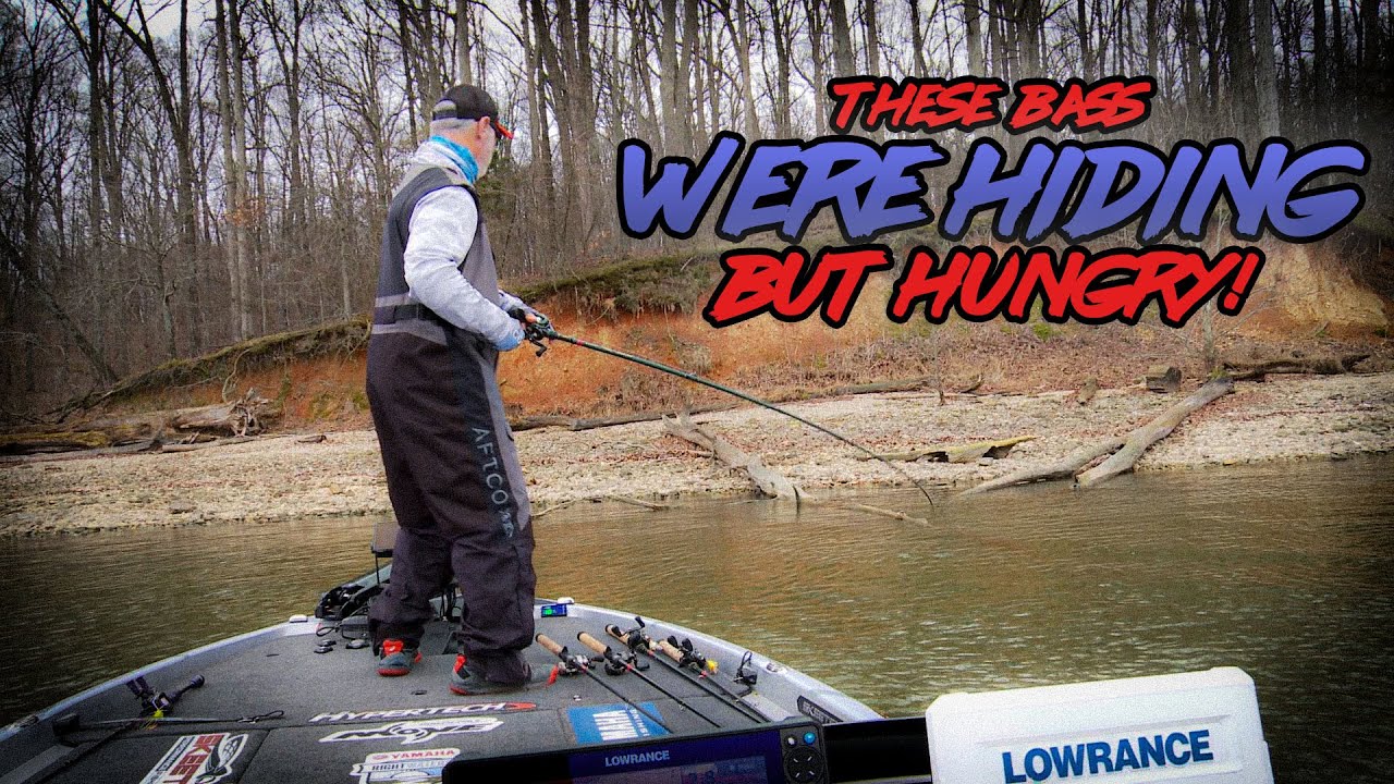 Squarebill Crankbait DOMINATES when BASS are SHALLOW on Kentucky / Barkley Lakes!