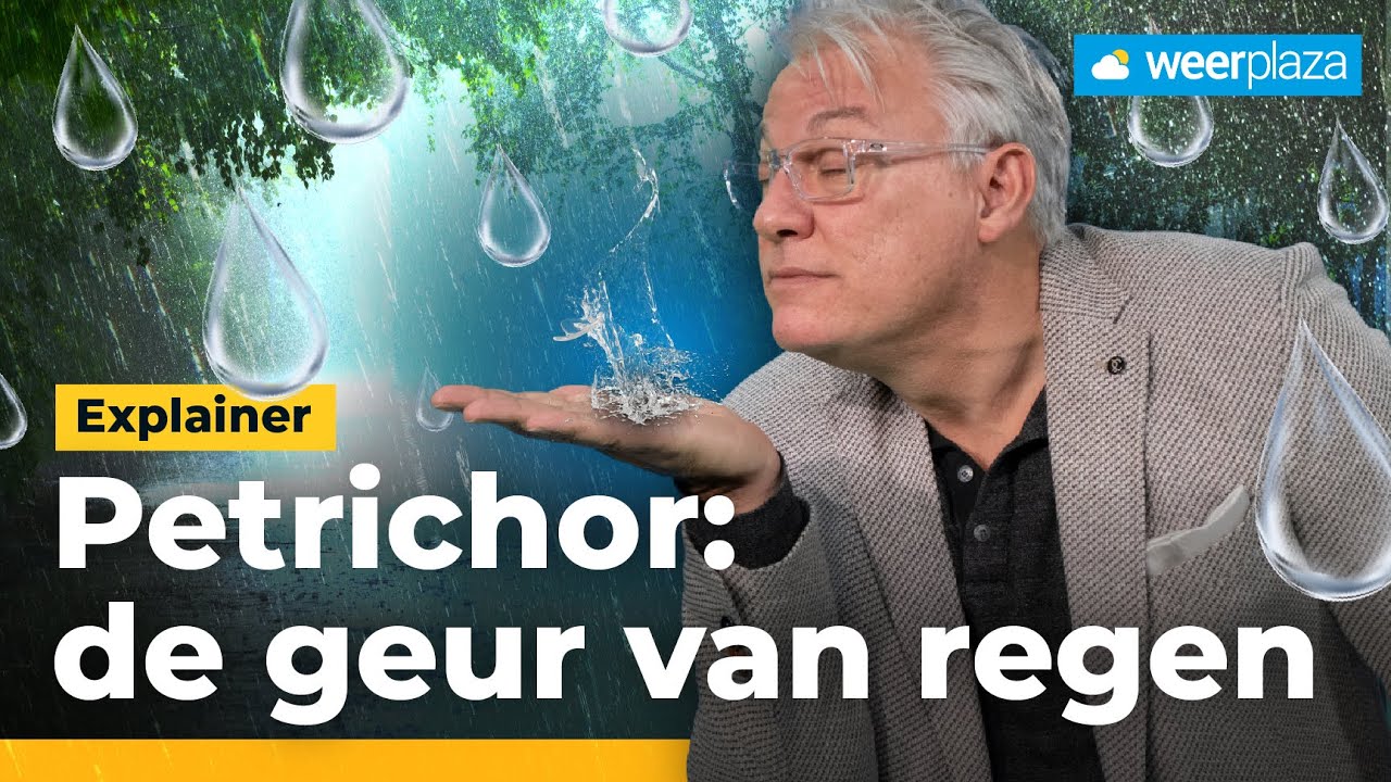 Hoe ontstaat de geur van regen? | Explainer Petrichor