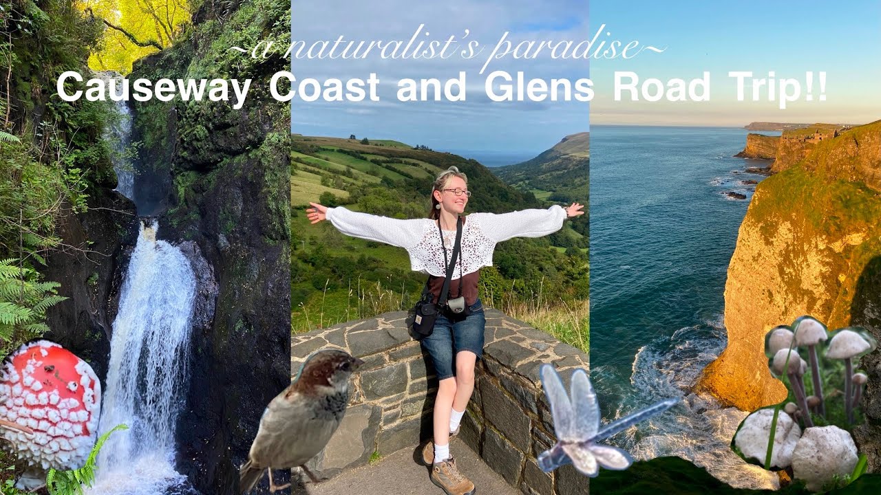 Causeway Coast & Glens Road Trip 🌿🍄🌅🌊 | Summer 2024