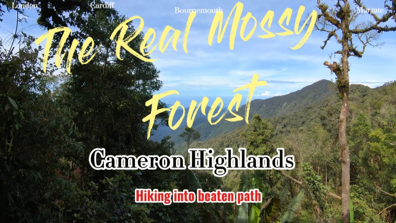 Hiking adventure and walking to 
