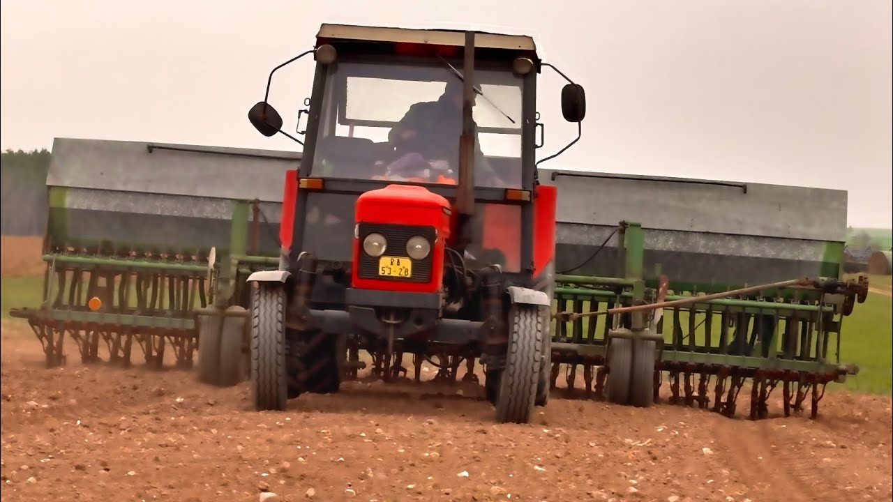 Setí ovsa s podsevem 2025 | Zetor 7011 & Roudnická sečka 6m w/Venda natáčí