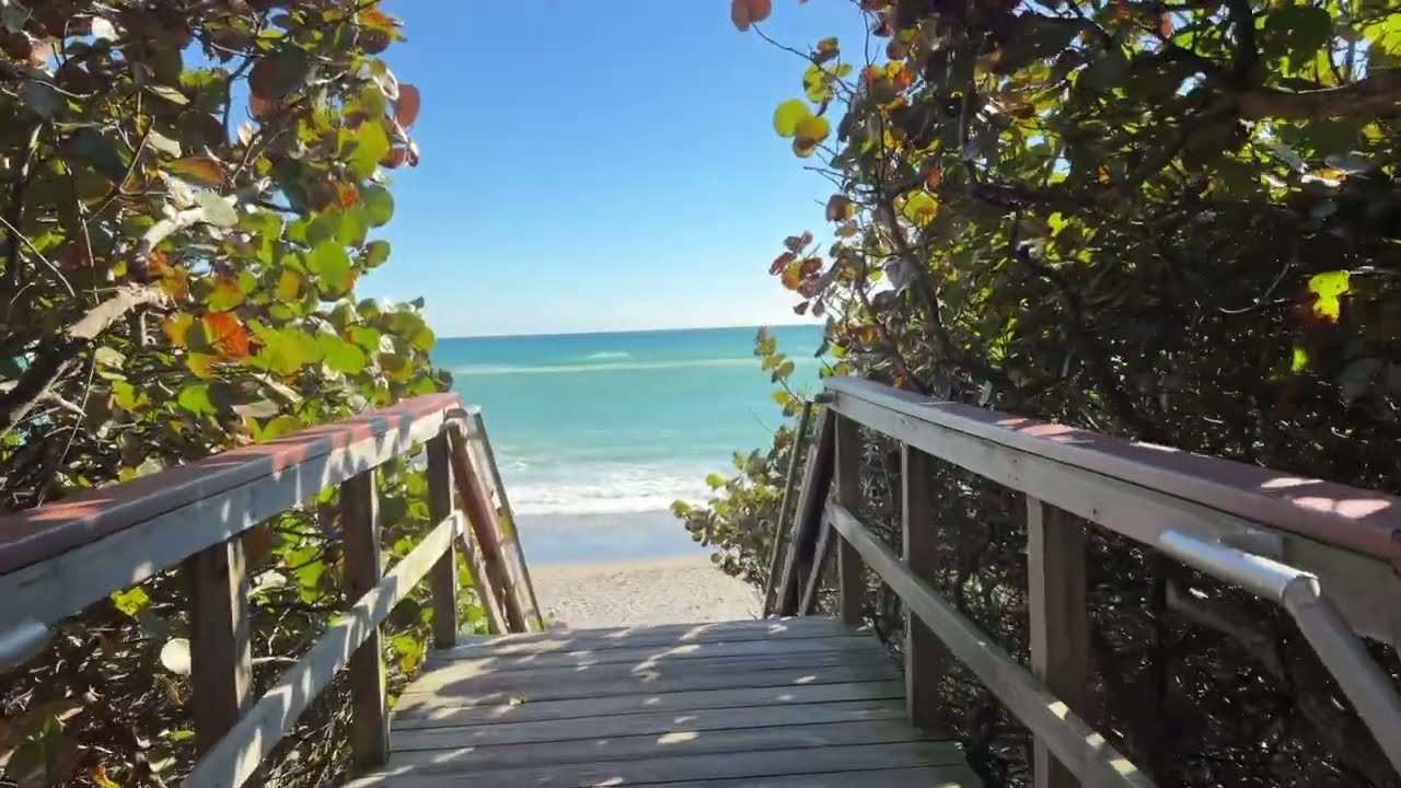 Daily Jupiter Beach Vibes 2/23/26 ASMR