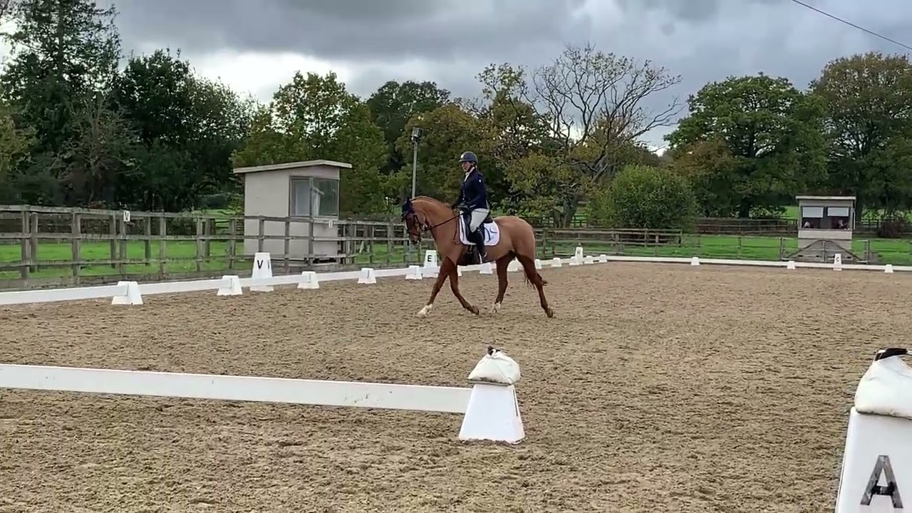 Sillan Clementine BD Novice Test 5 2024 Parwood Equestrian 25.10.25