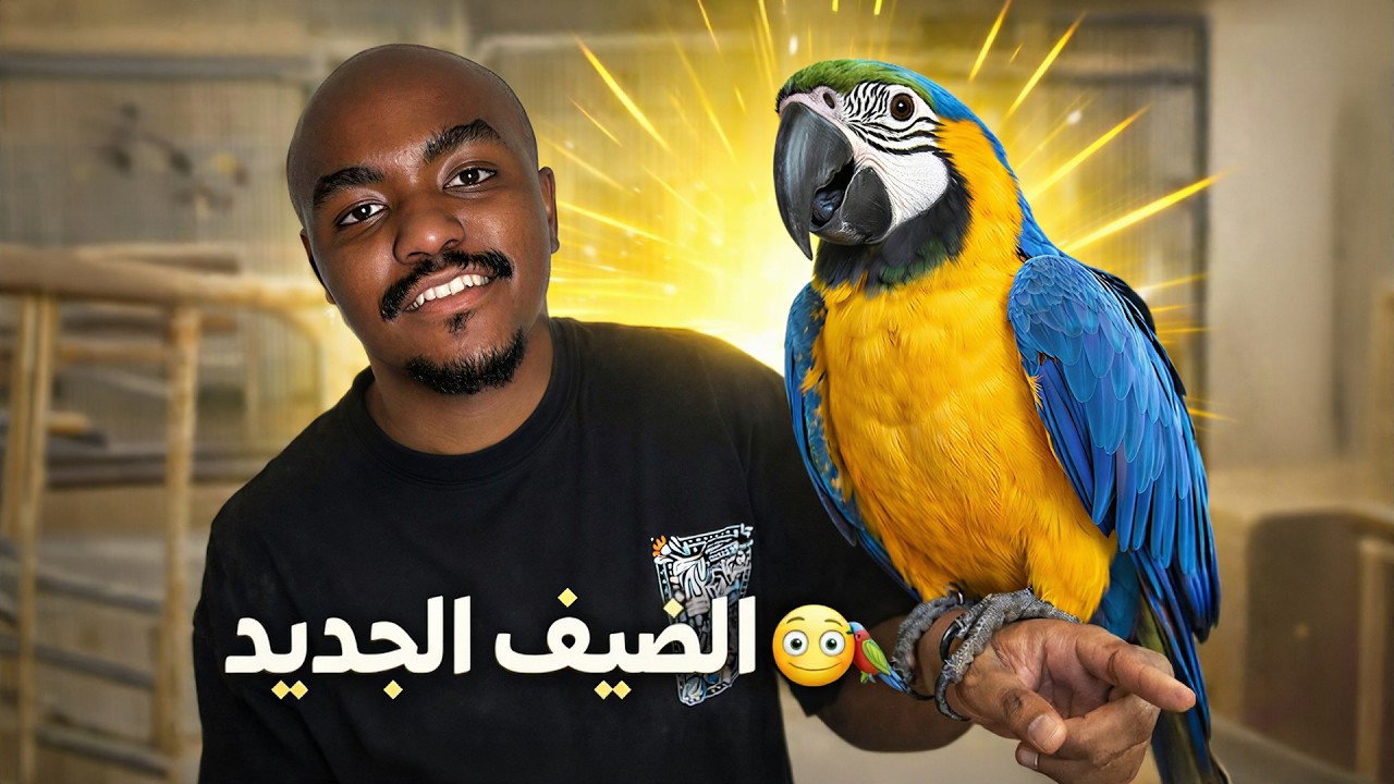 اكبر انواع الببغاوات المكاو🦜🔥