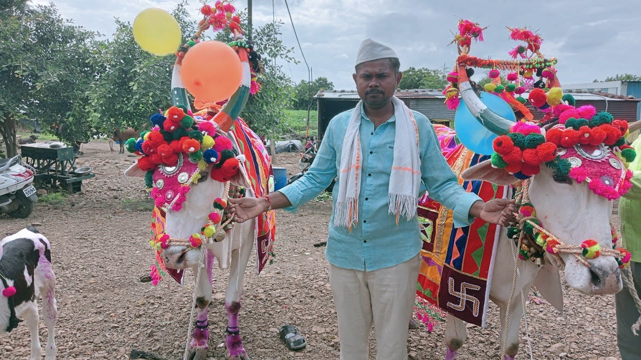बैलाचे लग्न लावतानाशेतकरी