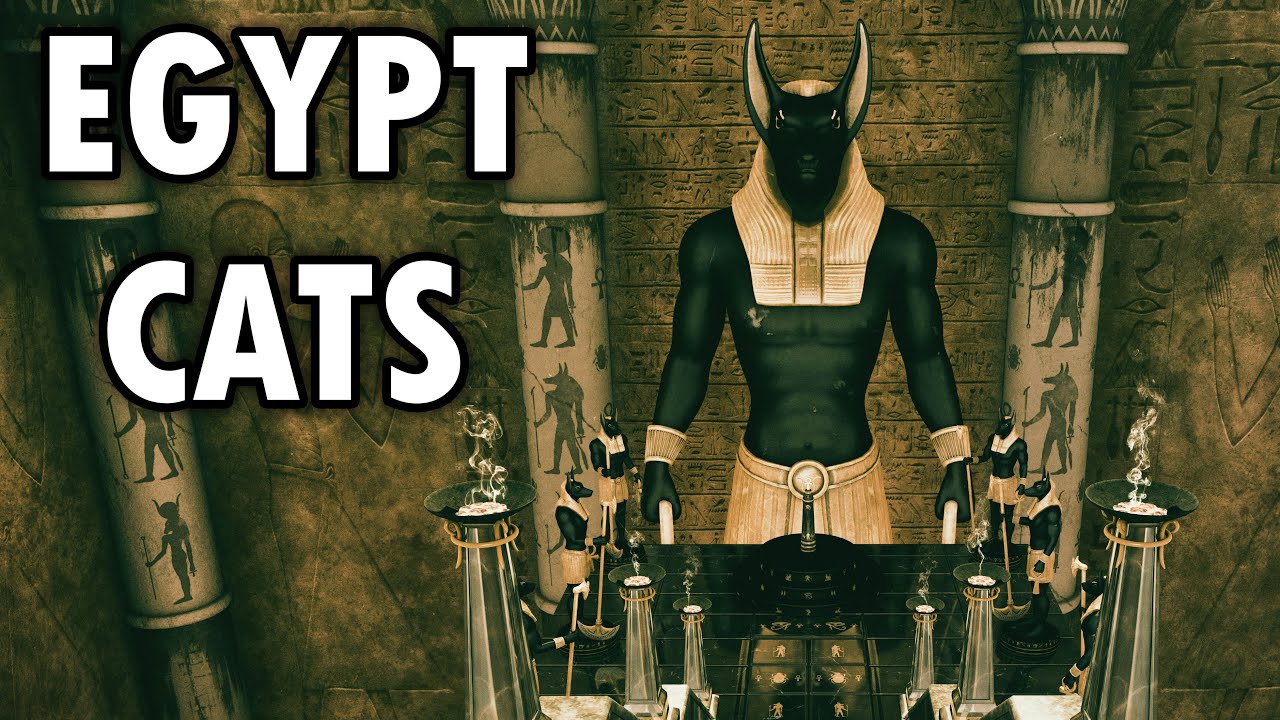 ANCIENT EGYPTIAN music for CATS 💚❤️ music to sleep soundly