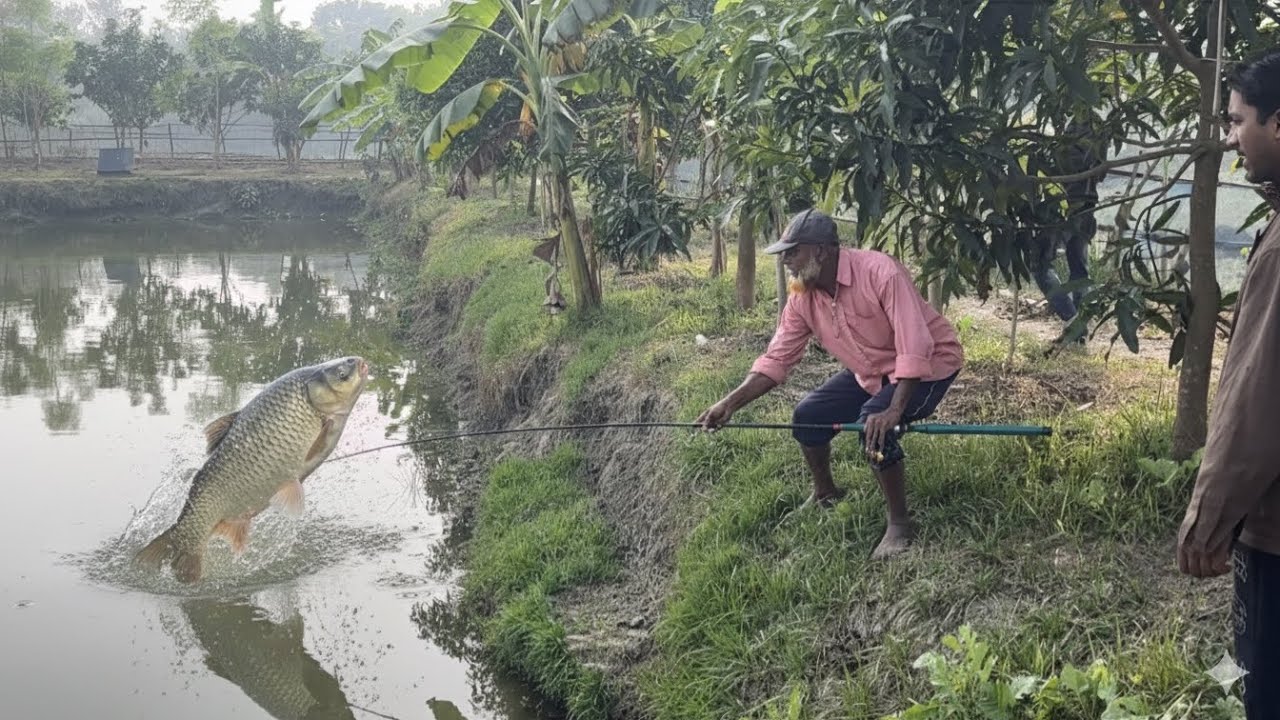 Giant Monster Carp Catch! Amazing Fishing Skills in the Village 🎣2026 #Fishing #Hok #video 