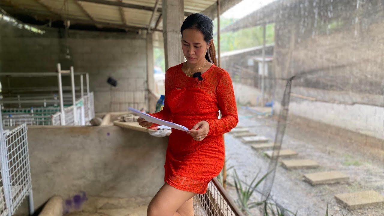 Magkano ang puhunan sa pag-aalaga ng inahin simula fattener? Part 1