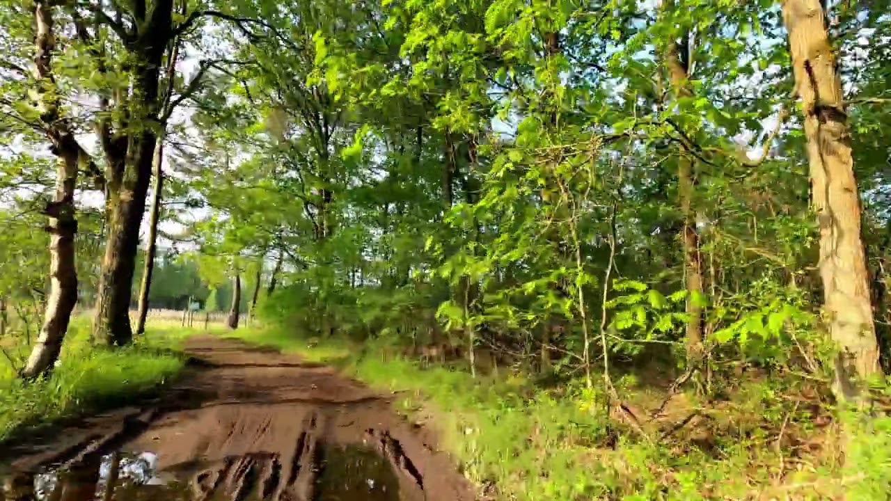 Lille-Beerse MTB rode lus 13 mei 2023