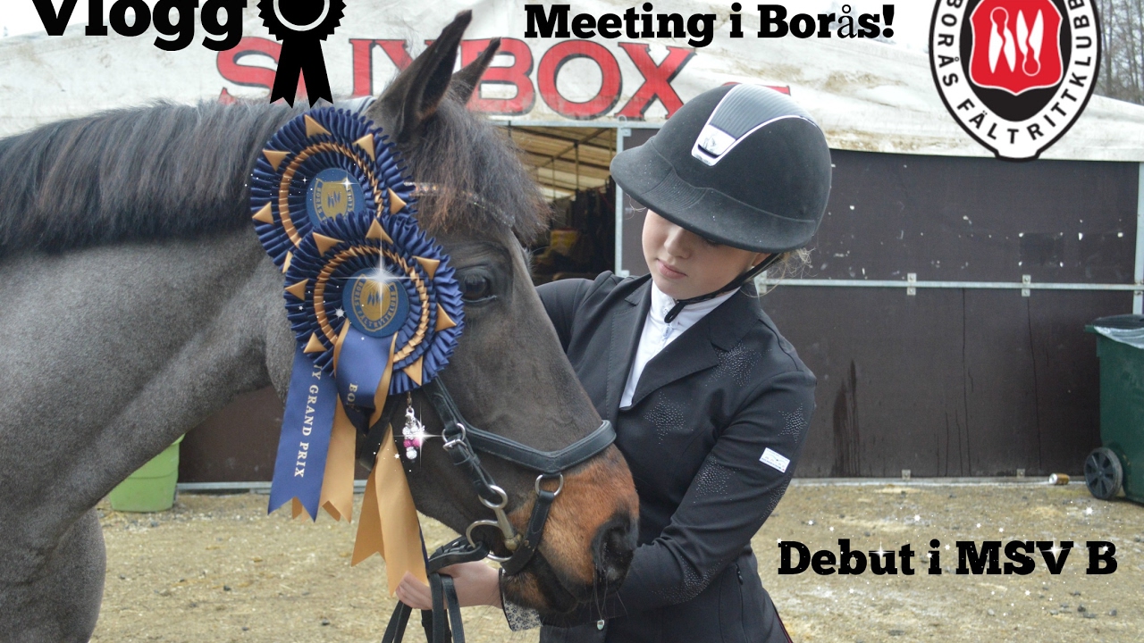 Borås Ponny Grand Prix! MsvB Debut!