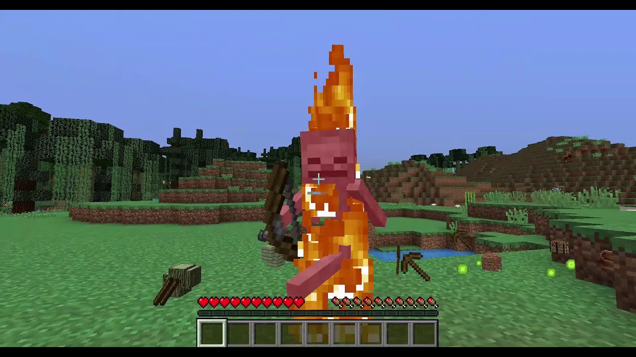 SiblingCraft (3) MONTAGE TIME! With EchoTheAlpha!