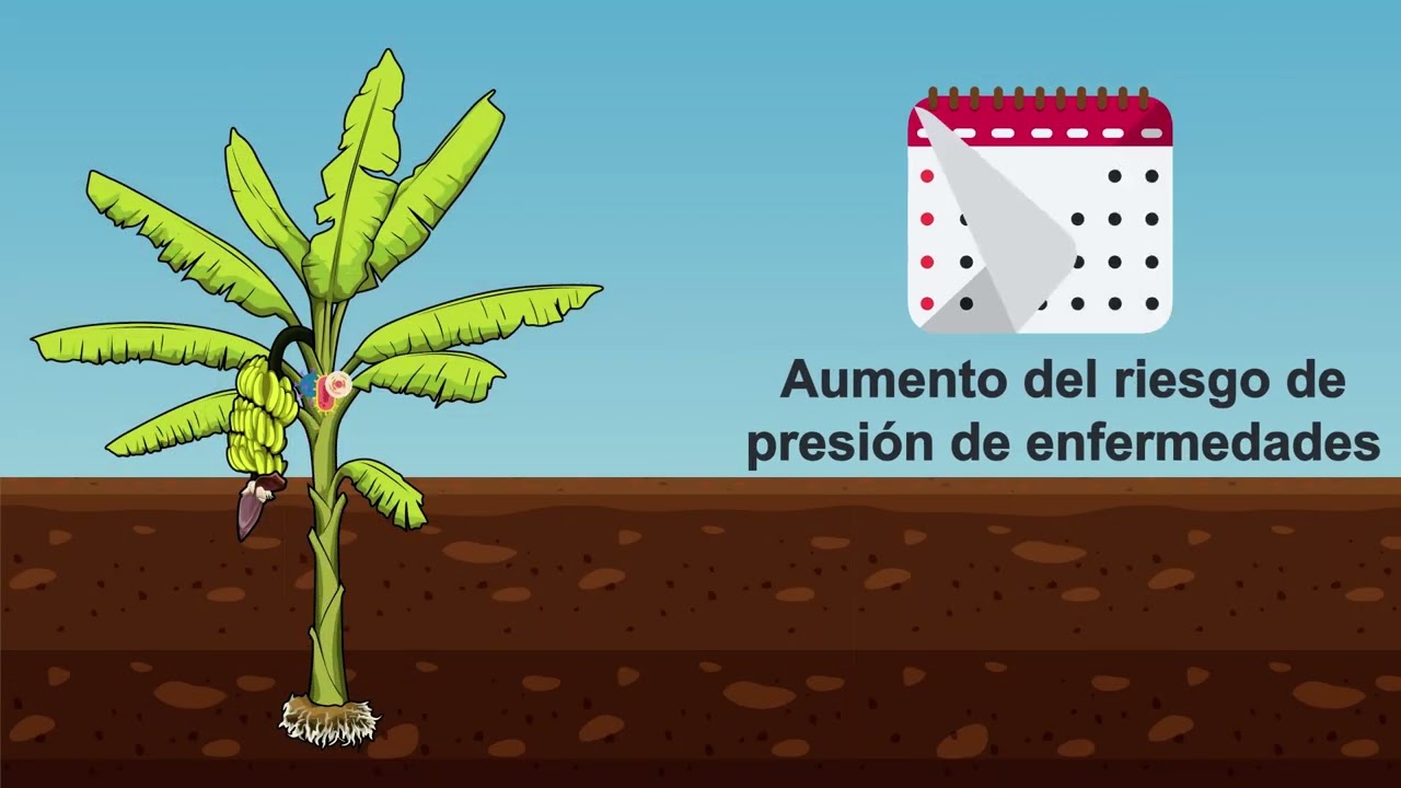 Desinfección del agua con UV-C para un riego libre de patógenos