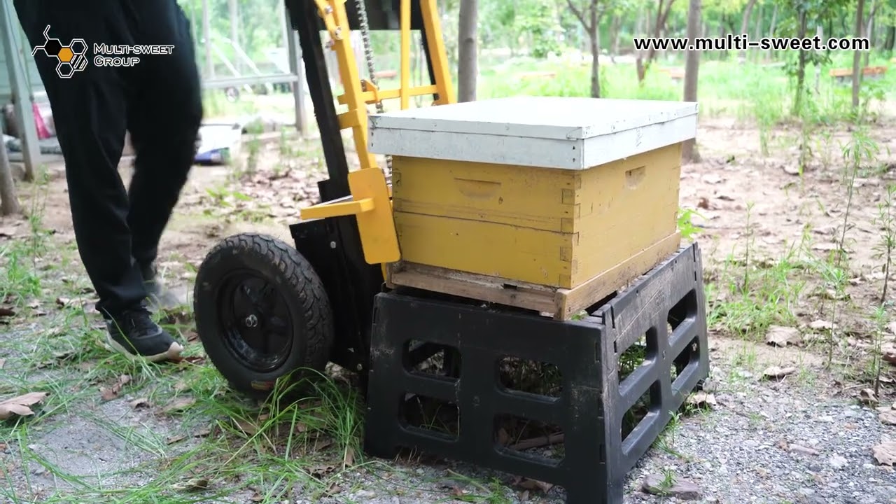hive lifter