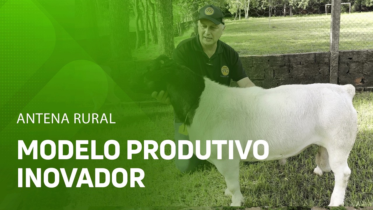 Fazenda investe em seleção rigorosa e inovação reprodutiva no Piauí