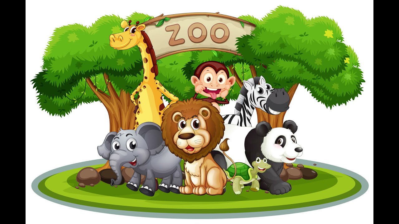 Umm Al Quwain Zoo I The Zoo Wild Life Park