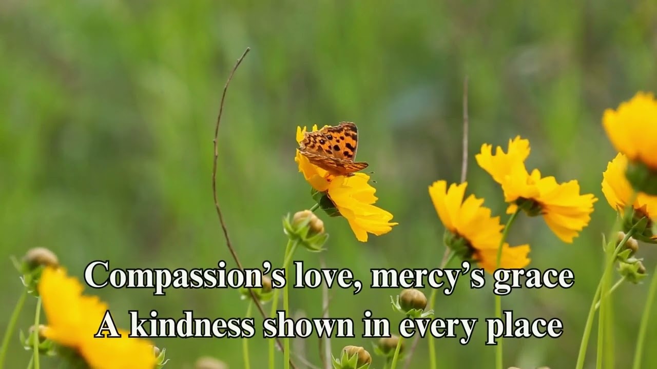 Virtue Song: Compassion and Mercy  (