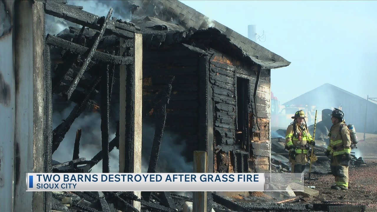 Two barns destroyed after grass fire