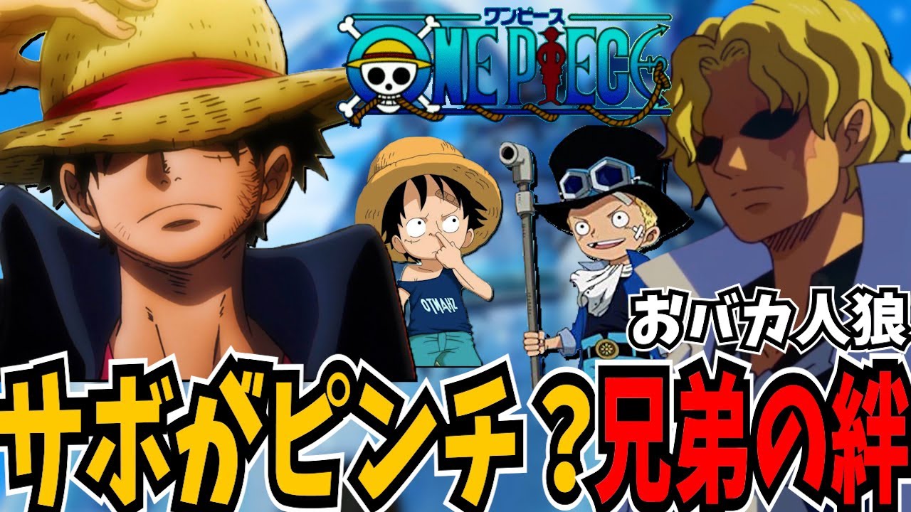 【ワンピース】ルフィがサボを助ける！？兄弟の絆！！【ONEPIECE】【Feign】【ルフィ ゾロ ナミ エース サボ ウソップ クロコダイル ロビン キッド ティーチ  】