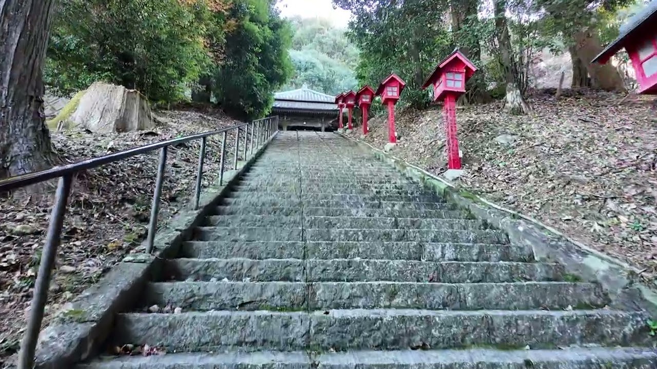 日本平登山　美術館コース　県立美術館バス停から吉田川、平澤寺、山頂駐車場まで　2024年12月