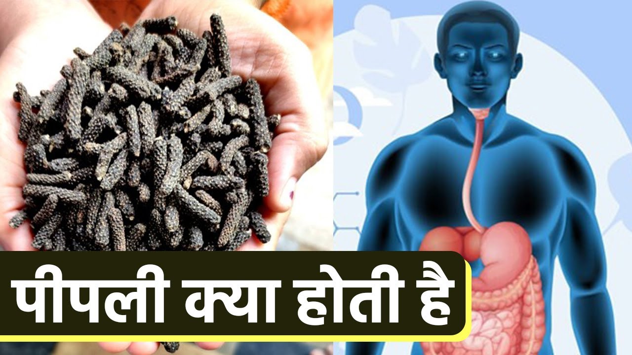 What is Pippali, know its benefits and disadvantages | Boldsky