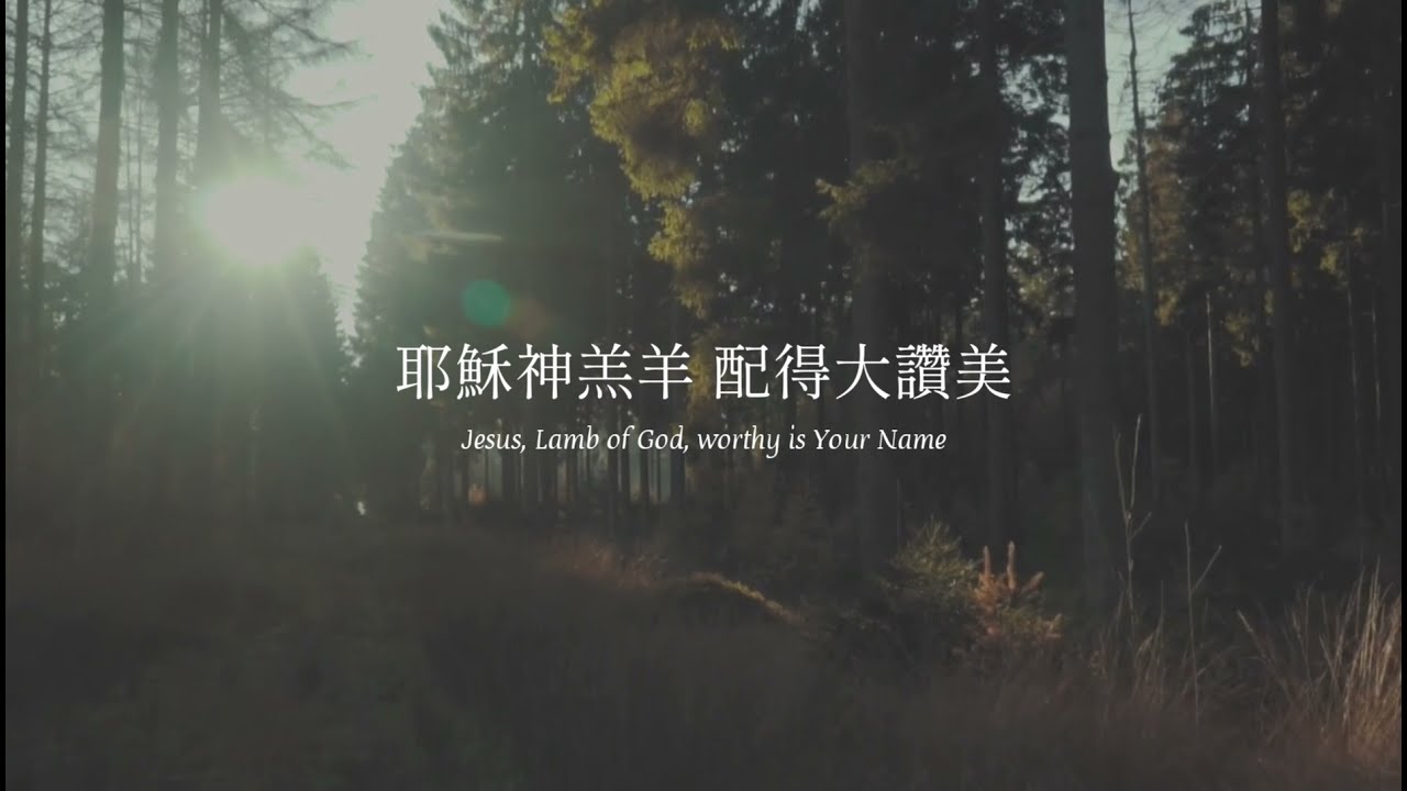 【動態歌詞】祢是我的一切 You Are My All in All - 天堂敬拜 Heaven Worshippers