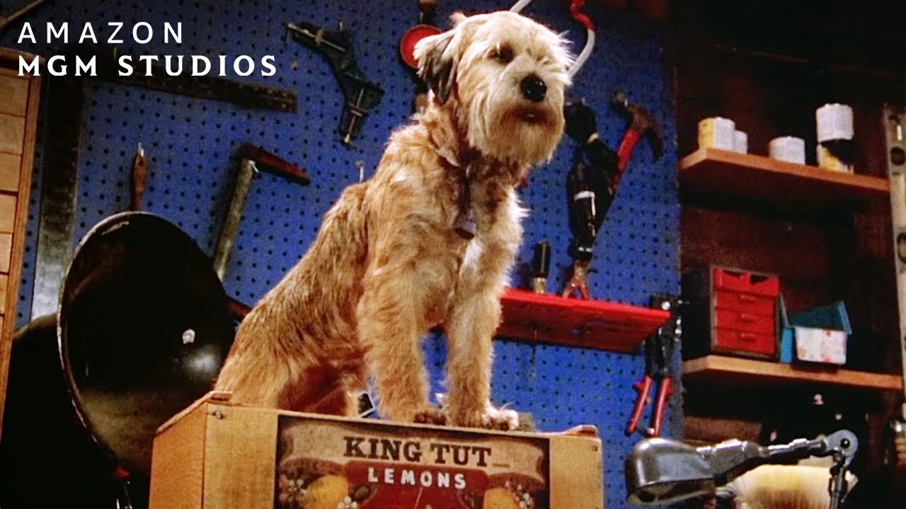 GOOD BOY! (2003) | Hubble's Mission | MGM
