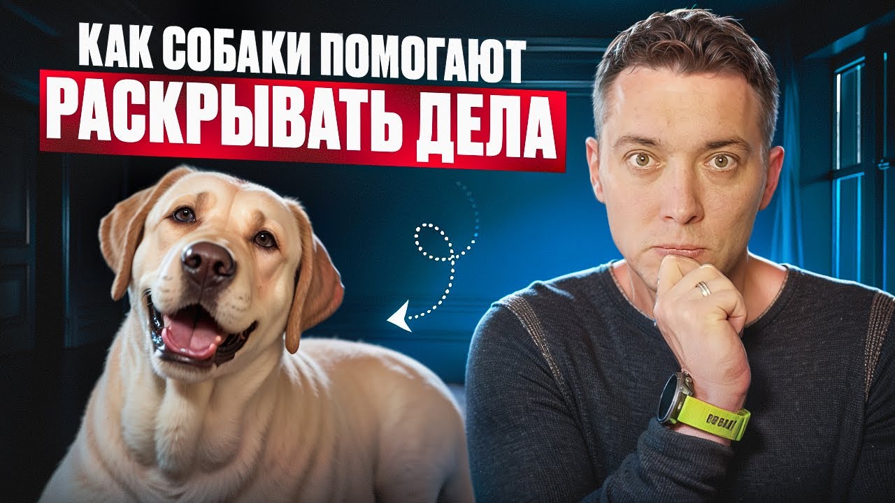 Как СОБАКА находит преступников?