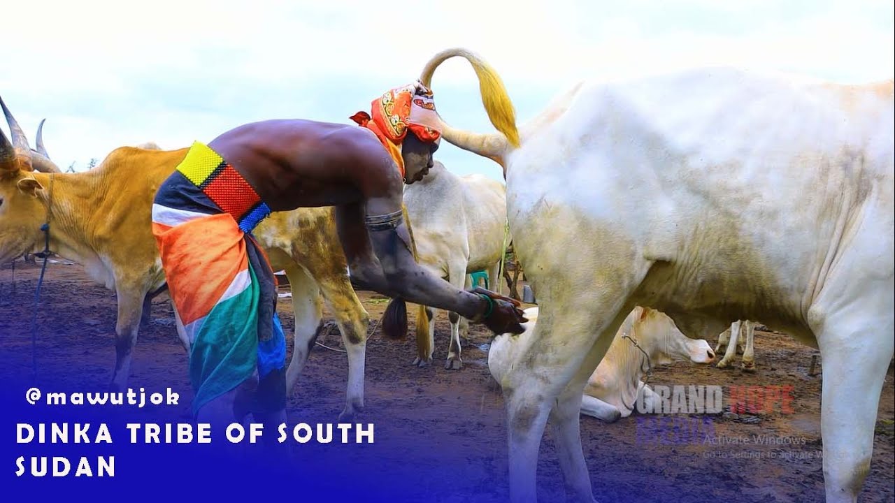The Dinka Tribe: Africa's Most Unique Rituals