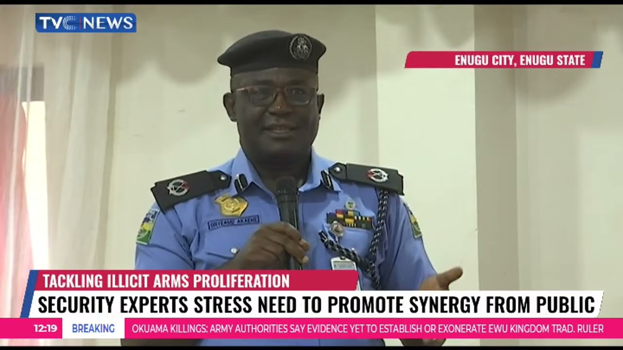 Illicit Arms Proliferation: Security Experts Advocate Concerted Efforts from the Public
