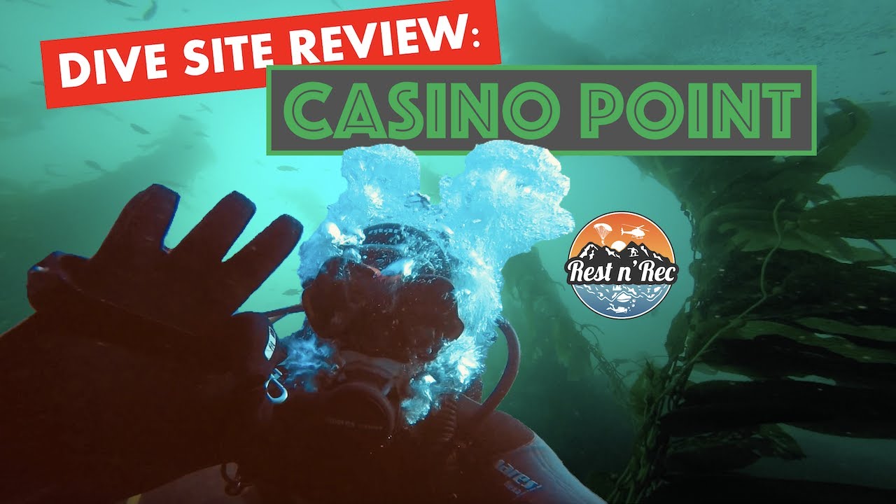 Casino Point Dive Site Review!