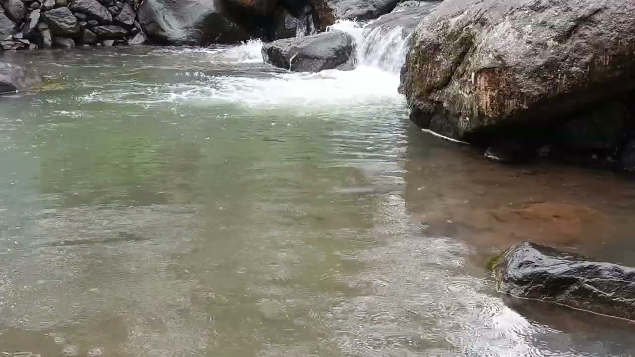 Pure Mountain River Rain Sound | Real Nature Ambience In The Wild