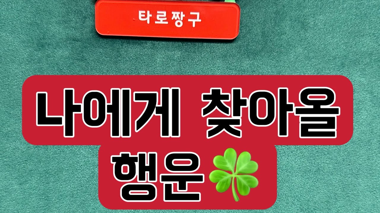 [타로짱구] 희망고문 없는 현실직시 타로