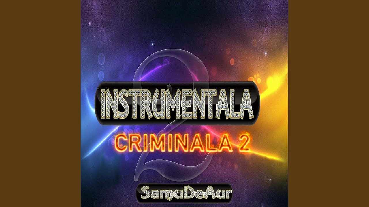 Instrumentala Criminala 2