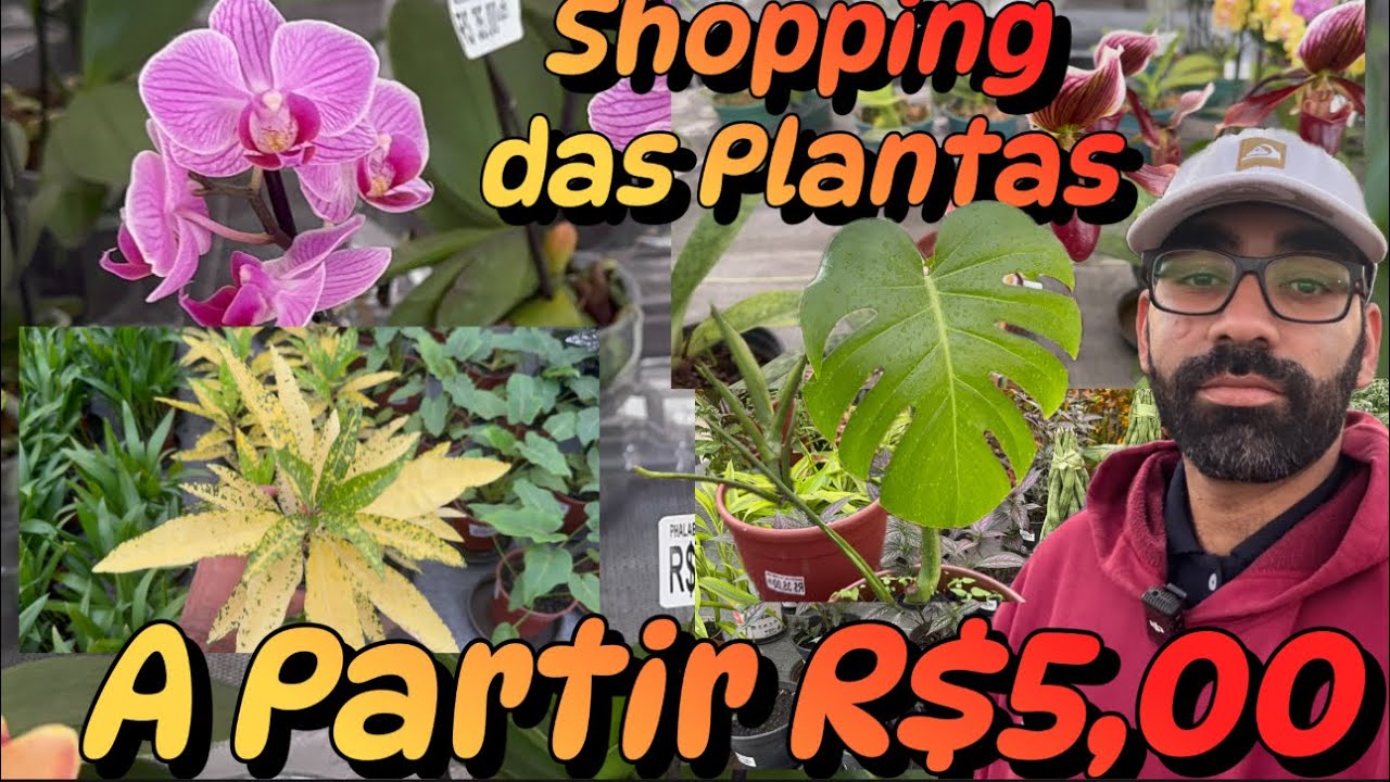 Fui visitar o Shopping Das Plantas Muito Barato! 