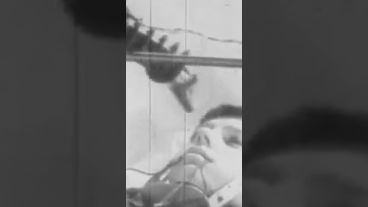Disturbing Crossbreeding Experiment In History Conducted By EVIL Scientists